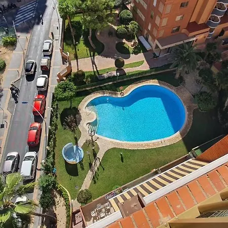 Adelfas - Arena Benidorm