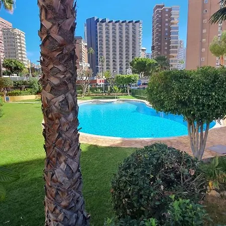 Adelfas - Arena Benidorm