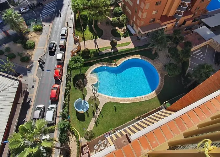 Adelfas - Arena Benidorm