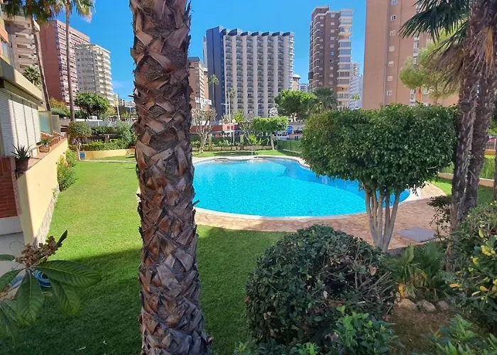 Adelfas - Arena Benidorm